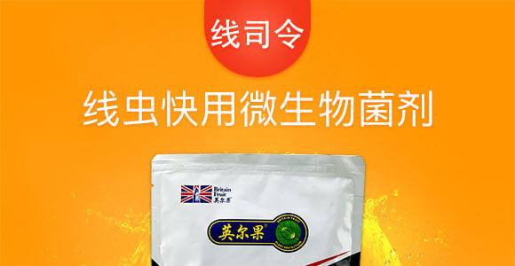 線蟲快用微生物菌劑-線司令-英爾果_01
