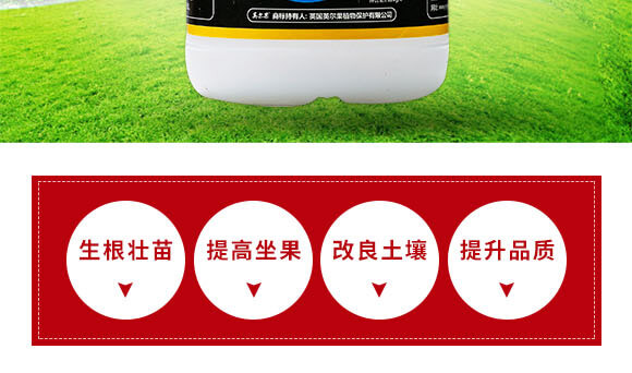 240g�Ҹ����-Ӣ����_03