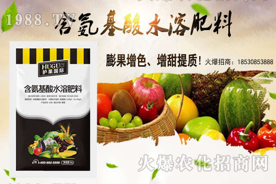 �|���m����ʲô����(ji��)���ࣿ�|������M(j��n)�зNֲ��