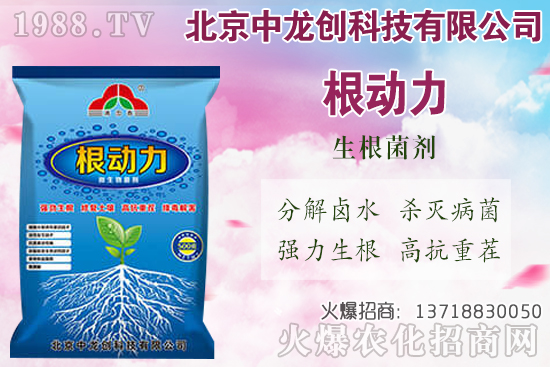 ���}���������������Щ�����}��ʩ�ʼ��g(sh��)Ҫ�c(di��n)��