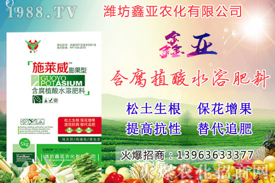 �Zʳ�q�r(ji��)��20209��17��С���r(ji��)�����������