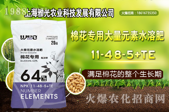 ��ʲô�r(sh��)��Nֲ�������༼�g(sh��)Ҫ�c(di��n)��