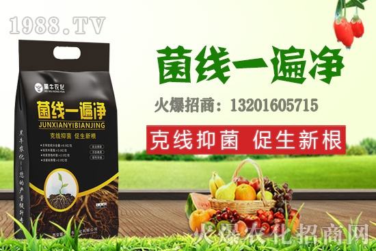 9��19��С���r��������q�����F(xi��n)��