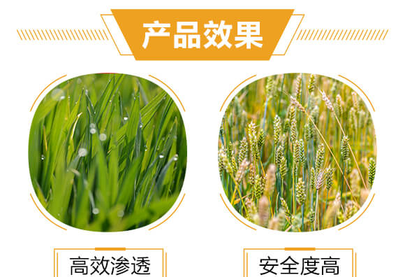 �M�ڌ��Ú�������-���-�����r_05