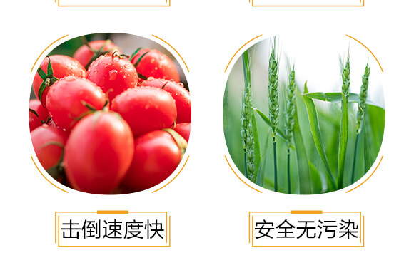 �M�ڌ��Ú�������-���-�����r_06