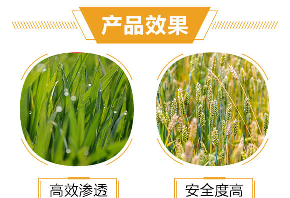 500ml�M(j��n)�ڌ��Ú�������-�ߵ�-�����r(n��ng)_05