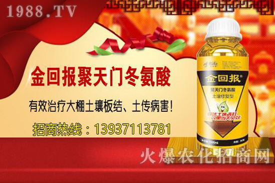 ���w�������cС�w����ɶ��ͬ������ԓ�x��һ�N��