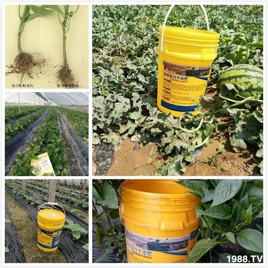 ˮ�ܷ��Ј���׃��������徫���~���׌��������棡1000���Ñ��������]��