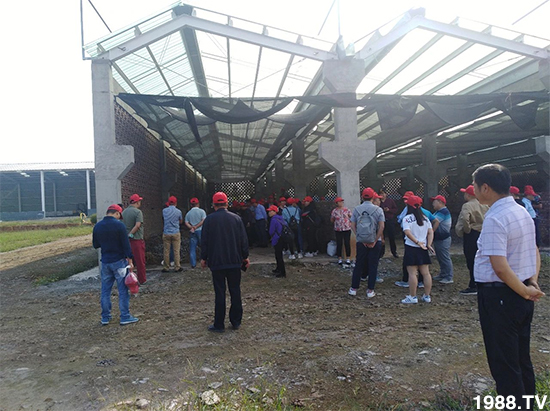 ˮ�ܷ��Ј���׃��������徫���~���׌��������棡1000���Ñ��������]��