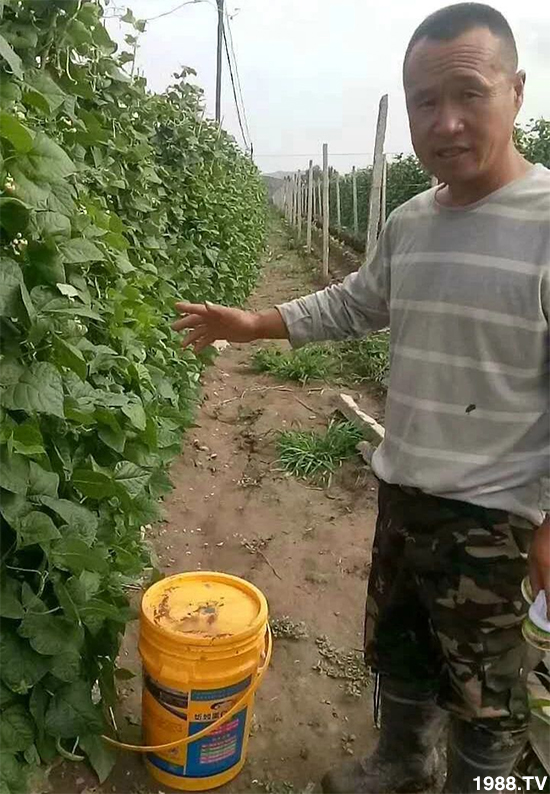 ˮ�ܷ��Ј���׃��������徫���~���׌��������棡1000���Ñ��������]��