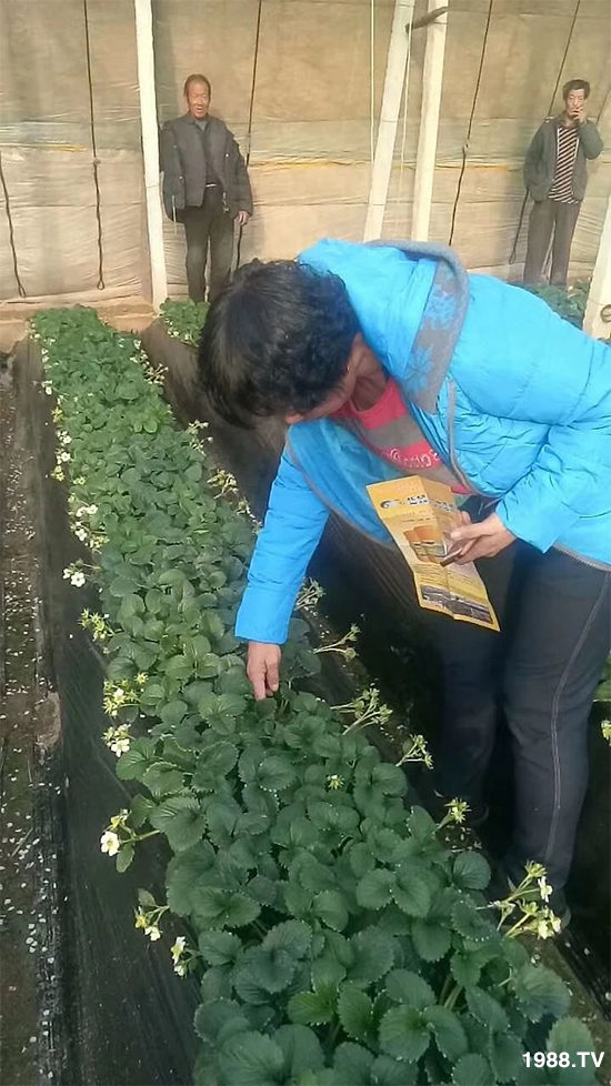 ˮ�ܷ��Ј���׃��������徫���~���׌�����������1000���Ñ��������]��