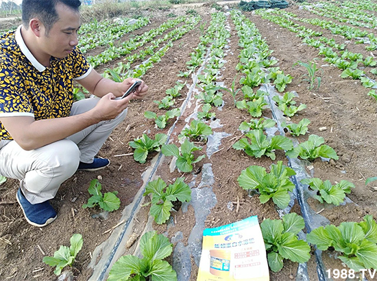 ˮ�ܷ��Ј���׃��������徫���~���׌��������棡1000���Ñ��������]��