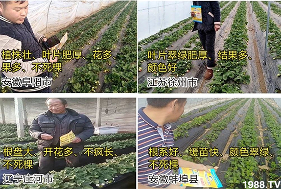 ˮ�ܷ��Ј���׃��������徫���~���׌�����������1000���Ñ��������]��