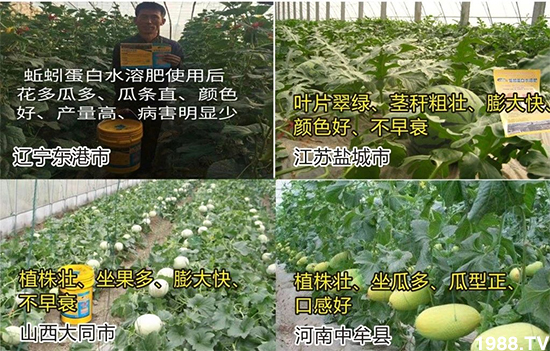 ˮ�ܷ��Ј���׃��������徫���~���׌��������棡1000���Ñ��������]��