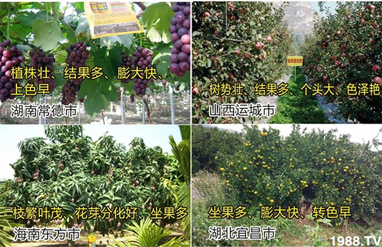 ˮ�ܷ��Ј���׃��������徫���~���׌�����������1000���Ñ��������]��