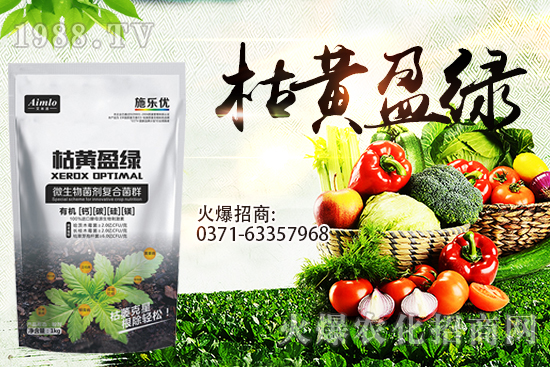 ʮ�¼������������r�ܝq������9��29��С���r���߄���