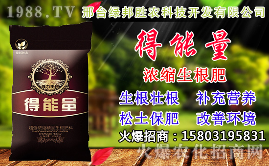 2020��С���N������x���߮aС��Ʒ�N����Щ��