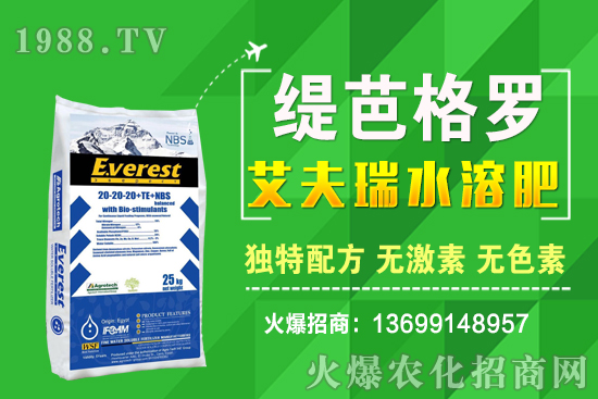 С���r��q�ˣ�ʮ��С�������A(y��)�y��