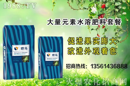 �＾����(sh��)ʩ�ʵĺ�̎����Щ���＾����(sh��)ʩ��ָ��(d��o)������