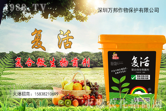 ���������ԷN������M�й�������ʲô����Ҫ�c��