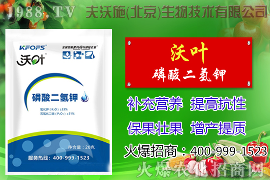 ���t��ժ�~����Щ��̎������ժ�~���g��ע�������