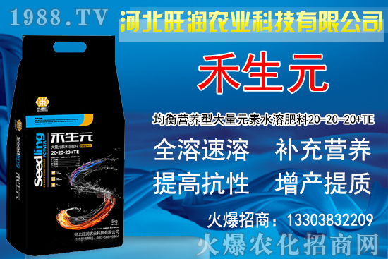 2020�Nֲ���y��ٍ�X�᣿���y�����L�l�����Nֲǰ����