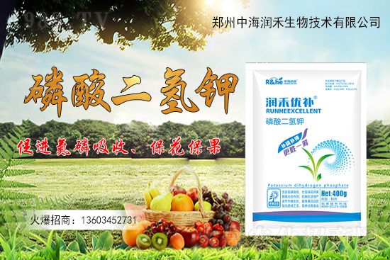 ����(sh��)һ���굽��ԓ��ôʩ��������(sh��)ʩ��ע�����(xi��ng)����Щ��