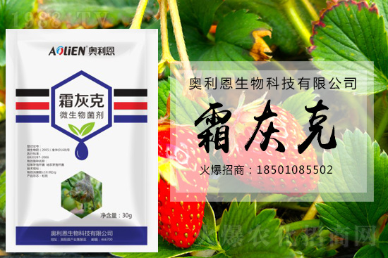 ������ݮ�װl(f��)��ù�����A(y��)����ʩ��ô����