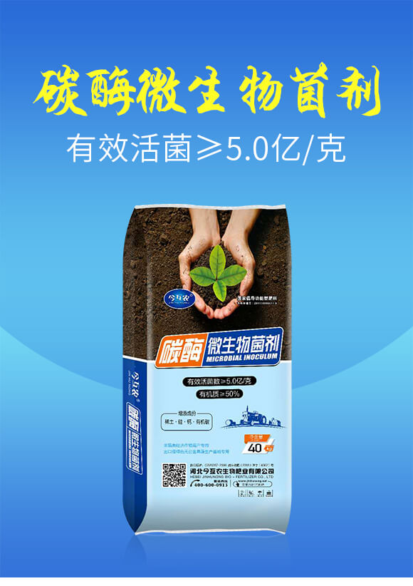 ̼ø΢�������-���r_01