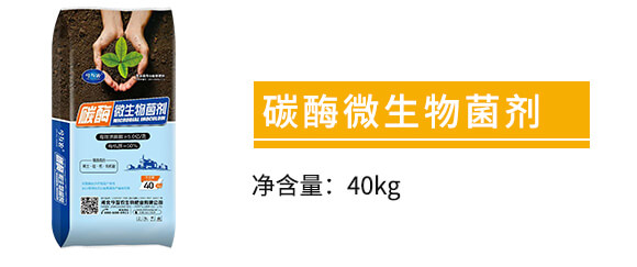 ̼ø΢�������-���r_02