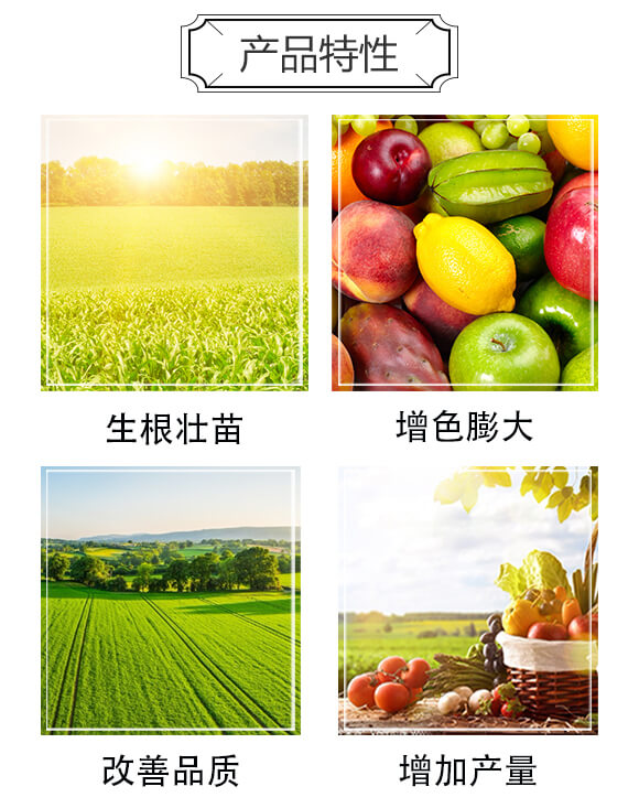 �����(l��i)��(j��ng)��(j��)����߮a(ch��n)��(zhu��n)��΢�������-���r(n��ng)_03