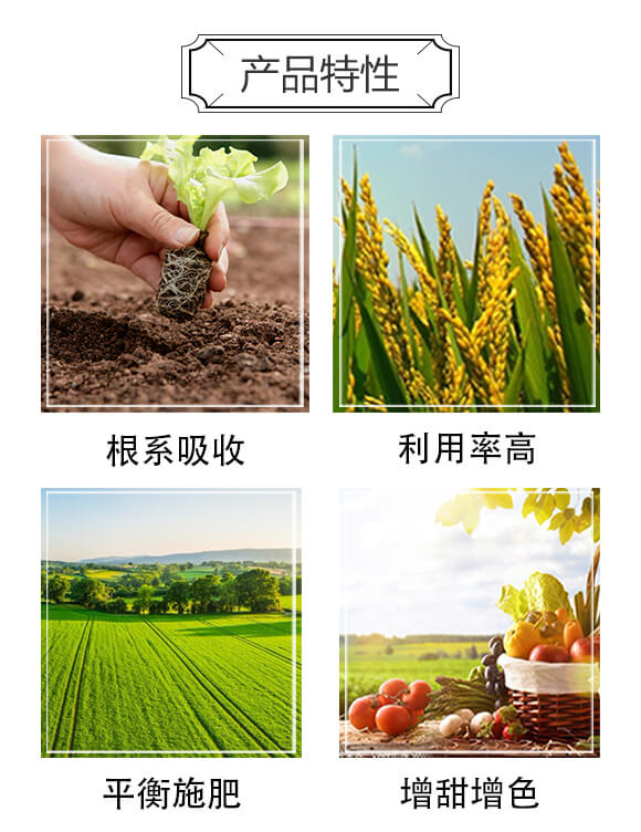 大量元素水溶肥20-20-20+TE-諾銳達(dá)-海法化工_03