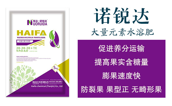 大量元素水溶肥20-20-20+TE-諾銳達(dá)-海法化工_02