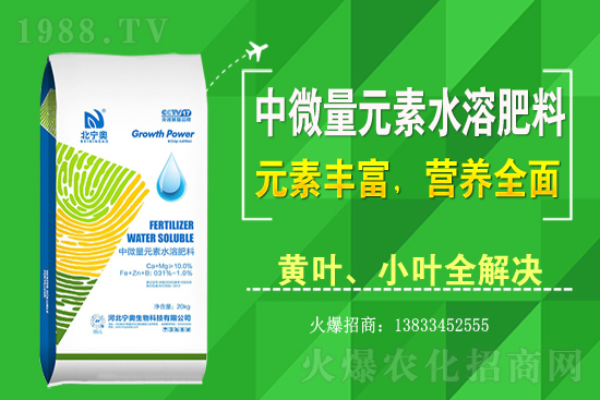 �S����ԓ��ô�Nֲ���S���˷Nֲ�^����ע����Щ���}��