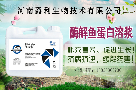 ���Ϟ�ʲôҪ���ɫ����(y��ng)ԓ����xُ�m�ϵ��ɫ������