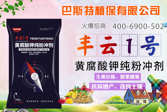 ������Y(ji��)/�}�n��/�ữ�y��Q�������S����⛼��ۄ���