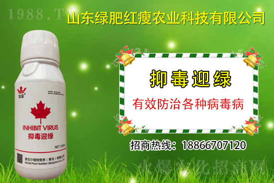 ���β�������Ҳ���ð������ֶ�ӭ�G�����β�������