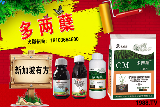 2021�����ַNֲǰ������������ֺ���ͨ�����к΅^(q��)�e��