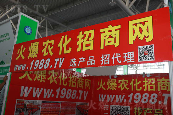 ��s������2021ɽ�|ֲ�������𱬾W(w��ng)��������ʢ�e��