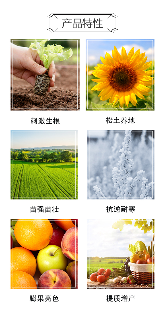 꿾����F1_03