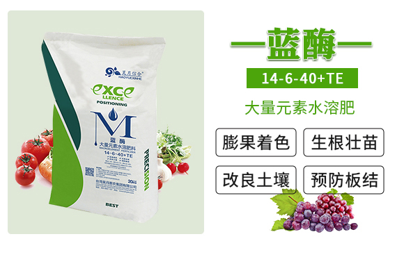 藍莓-昊月惠農_02