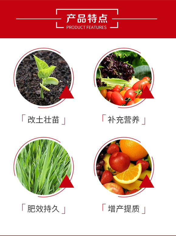 �S����-ɽ�|����������_03