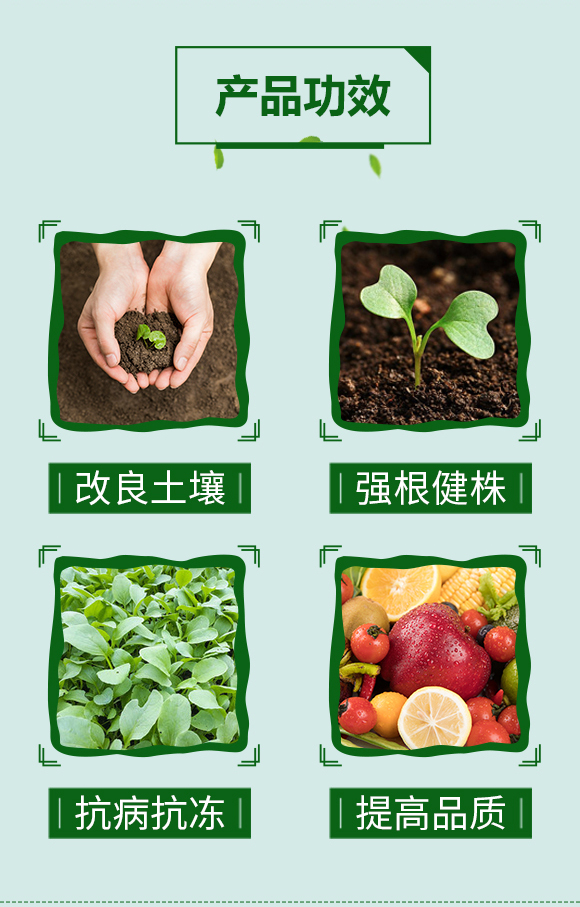 ���ܹ�-�r(n��ng)��ڈ@_03