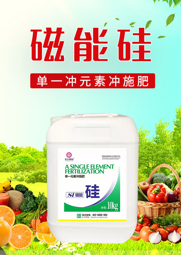 ���ܹ�-�r(n��ng)��ڈ@_01