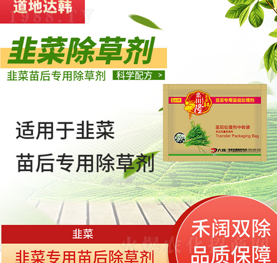 韭菜苗后用什么除草劑好? 韭菜苗后除草措施都在這!