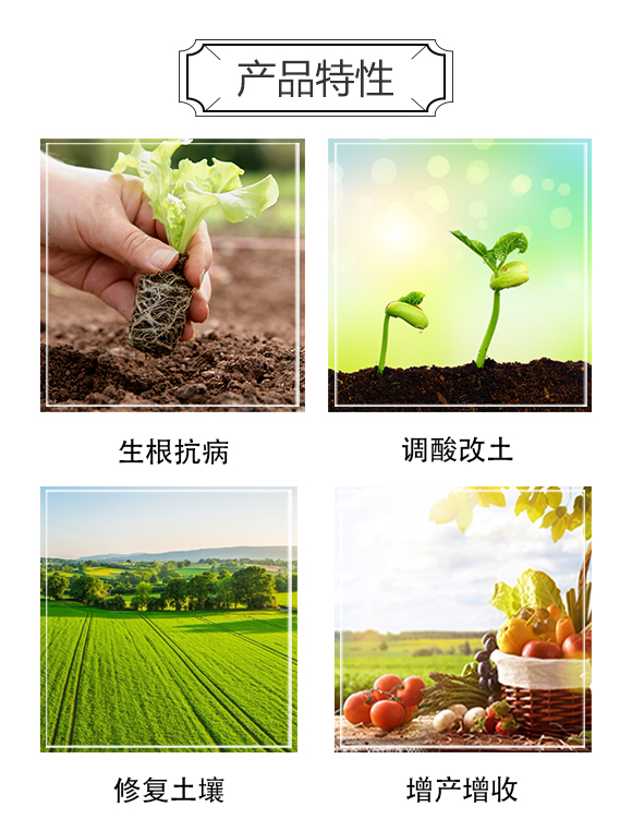 河南中科農業(yè)科技研究院1_03