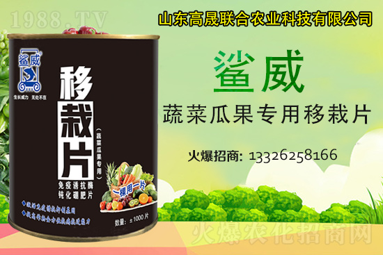 �����������������L(zh��ng)������...���߲˶�ֲ�ؿ�