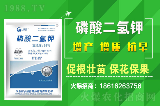 ���˷Nֲ��Ҫע����Щ���}�����˷Nֲԓ��ôʩ����