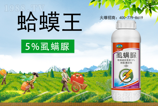 ʭ����������ô�������x(ch��ng)���c(di��n)��ʲô��