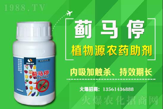 2021��3��6�հ��S�}���`�rˎ�r��